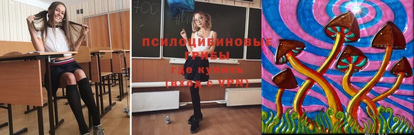 дурь Алексин