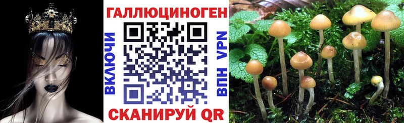 гидра как зайти  Пролетарск  Псилоцибиновые грибы Psilocybine cubensis  купить наркоту 